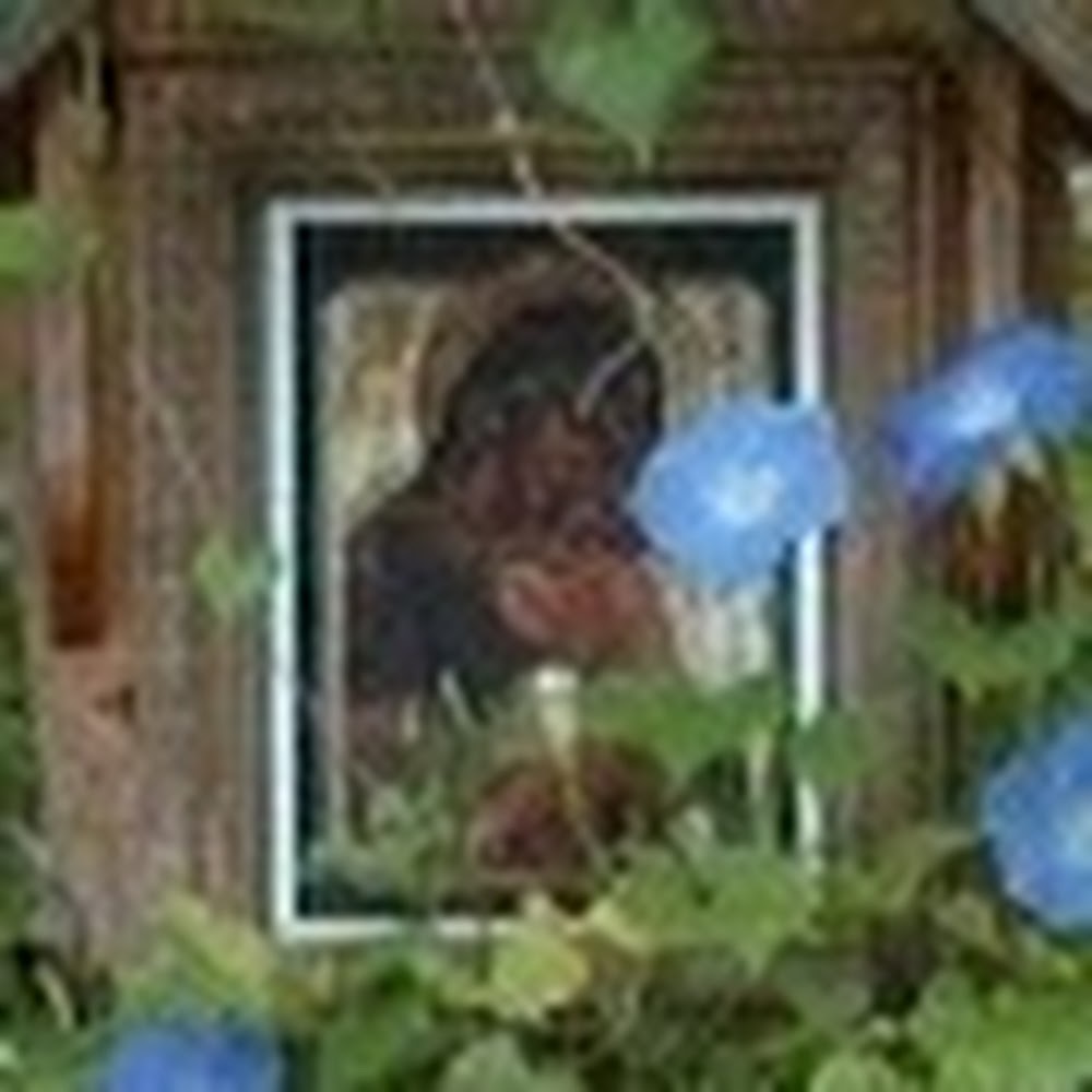 Meet your Posher, Juliana